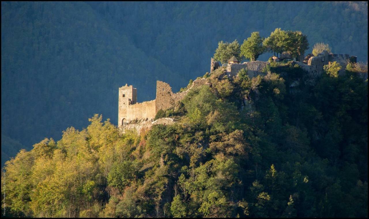La Forge D'Andribet Villa Axiat Екстериор снимка